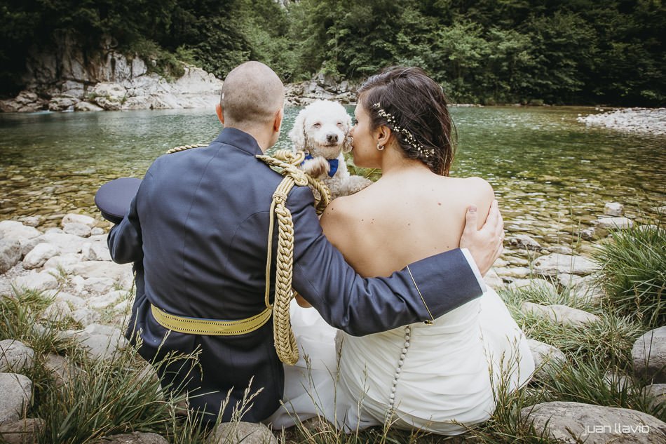 Fotografiando bodas con animales en Asturias
