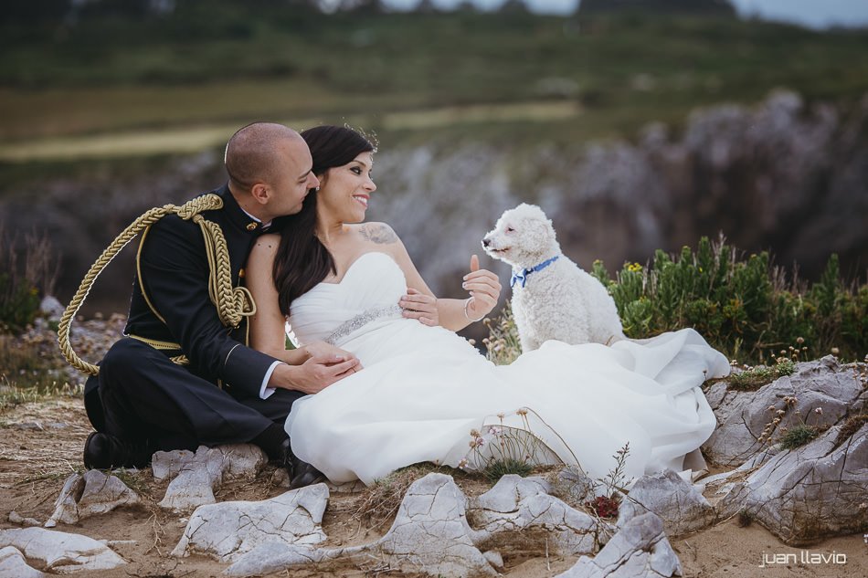 Fotos de bodas con animales